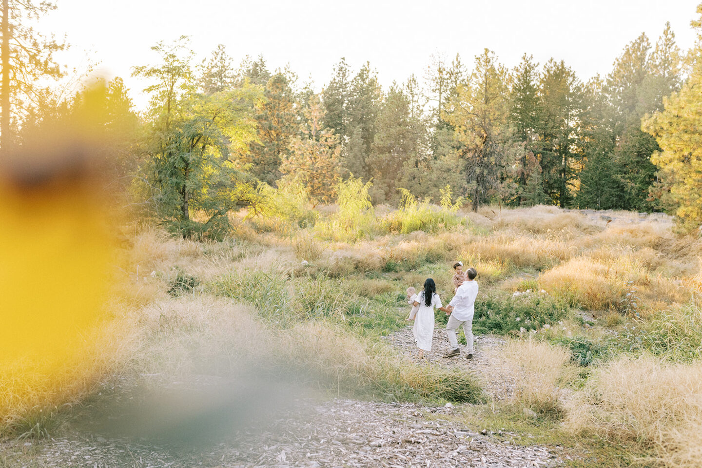 California to Spokane 